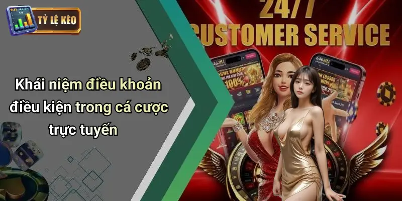 điều khoản điều kiện