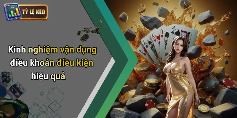 điều khoản điều kiện