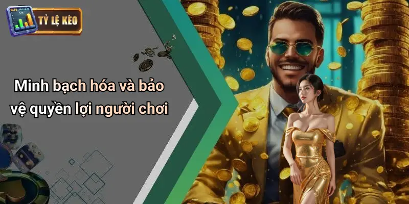điều khoản điều kiện