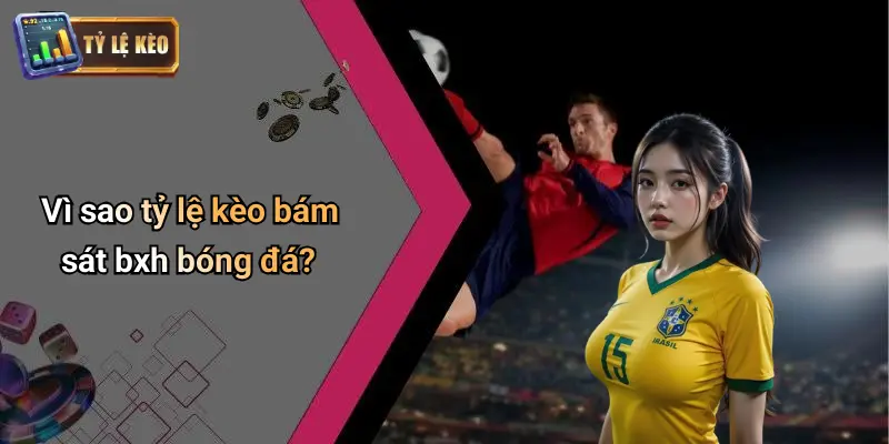 BXH Bóng Đá